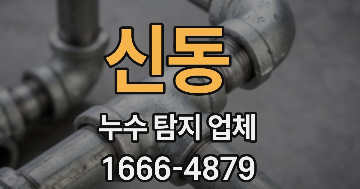 신동 누수 탐지 업체