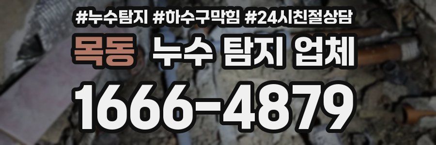 목동 누수 탐지 업체