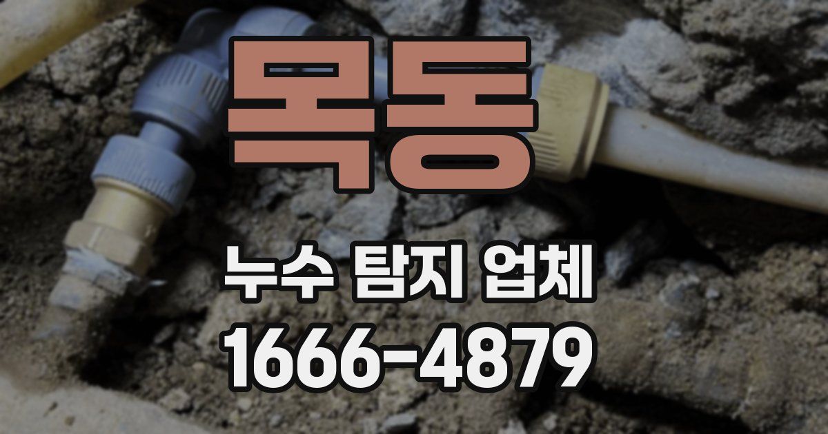 목동 누수 탐지 업체