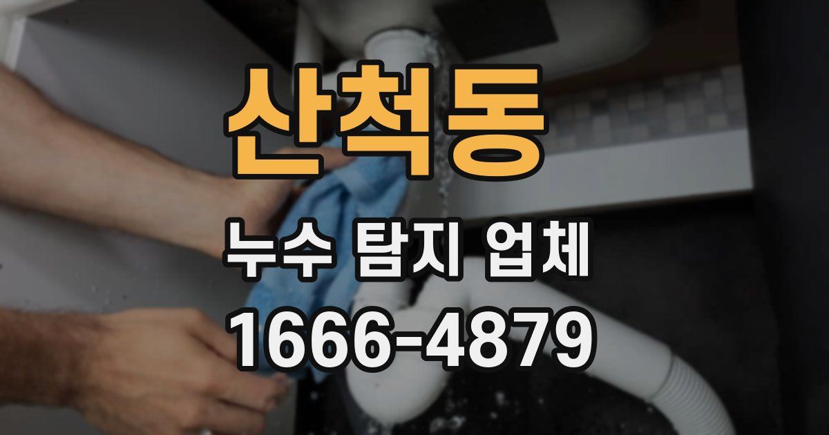 산척동 누수 탐지 업체