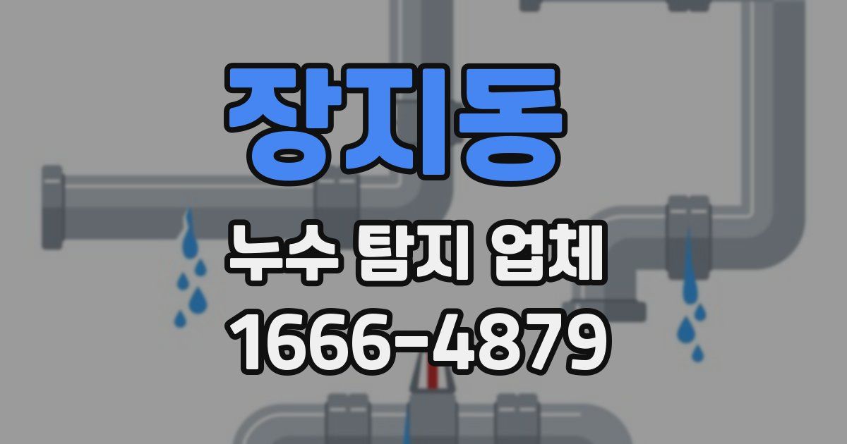 장지동 누수 탐지 업체