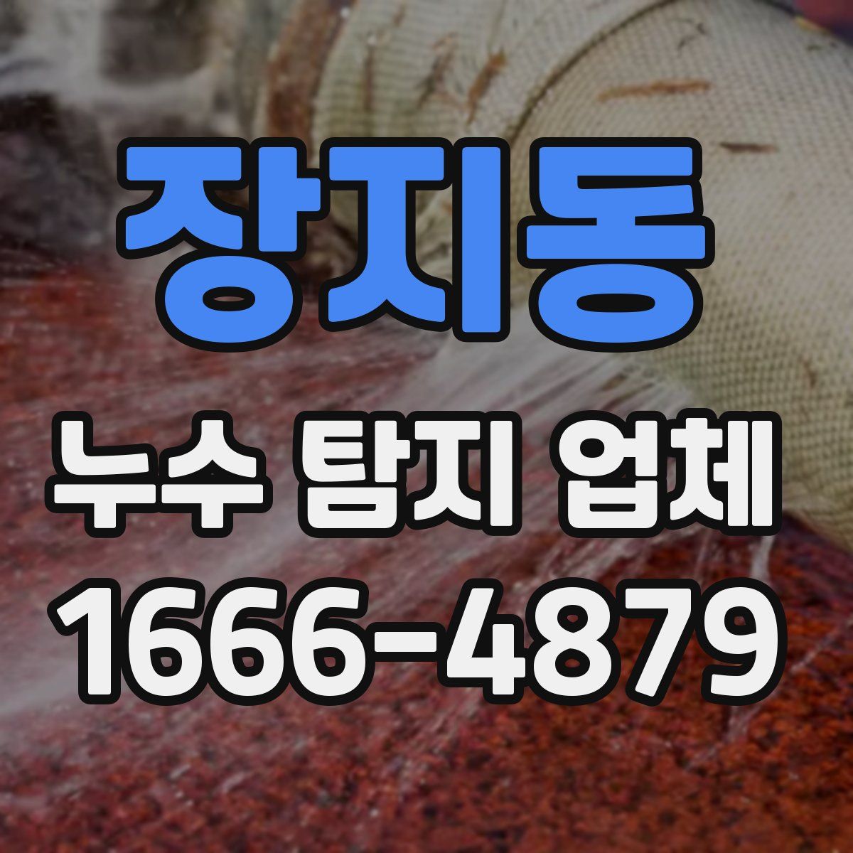 장지동 누수 탐지 업체