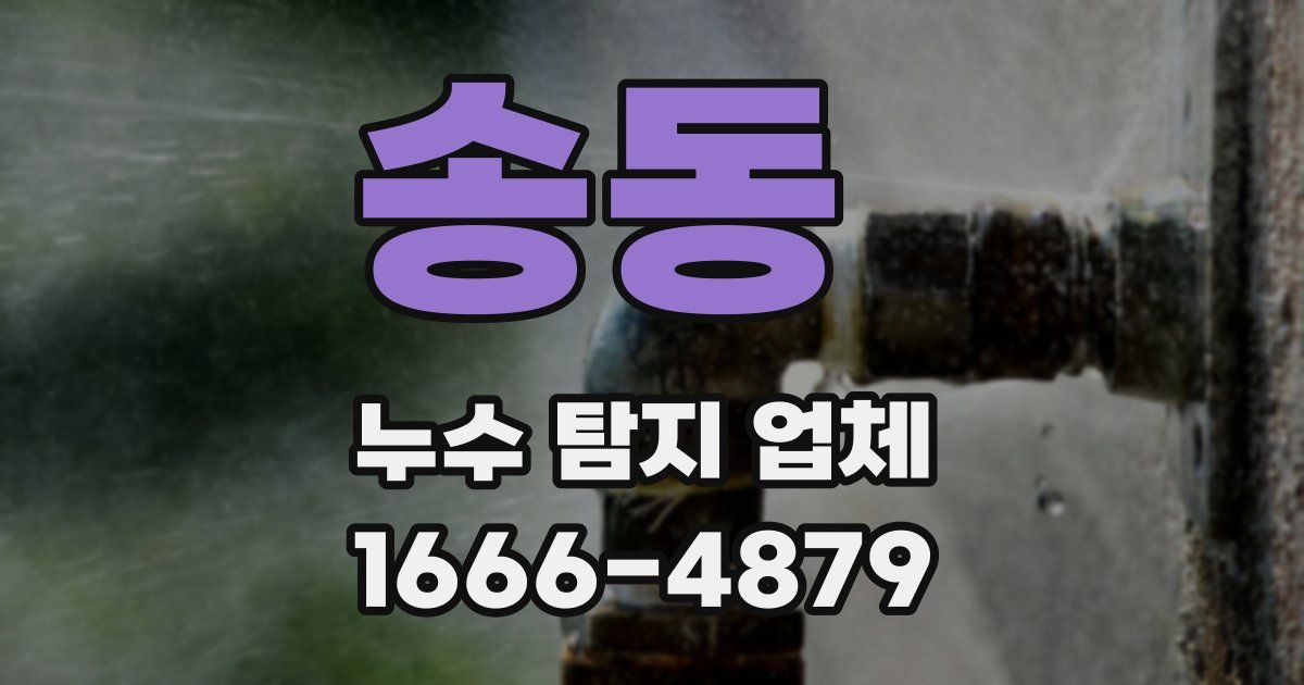송동 누수 탐지 업체