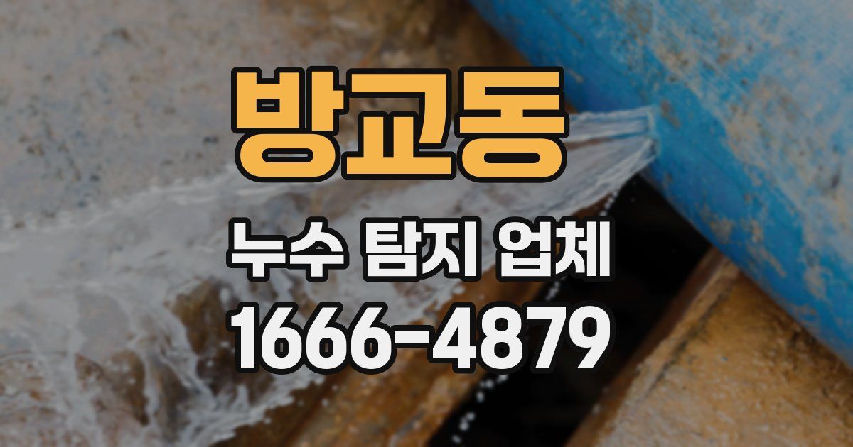방교동 누수 탐지 업체