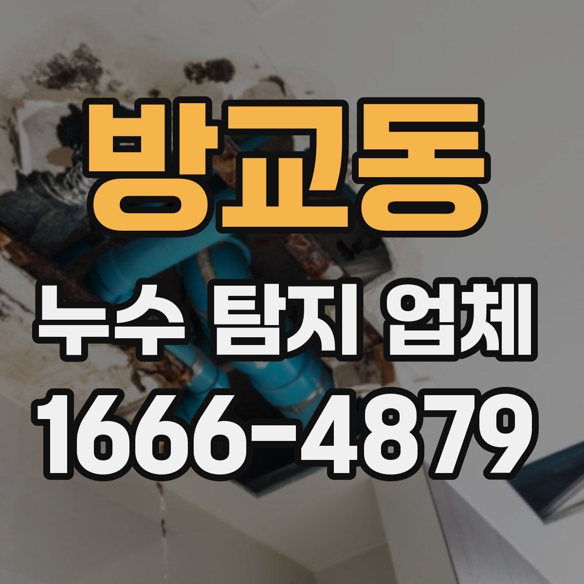 방교동 누수 탐지 업체