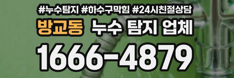 방교동 누수 탐지 업체