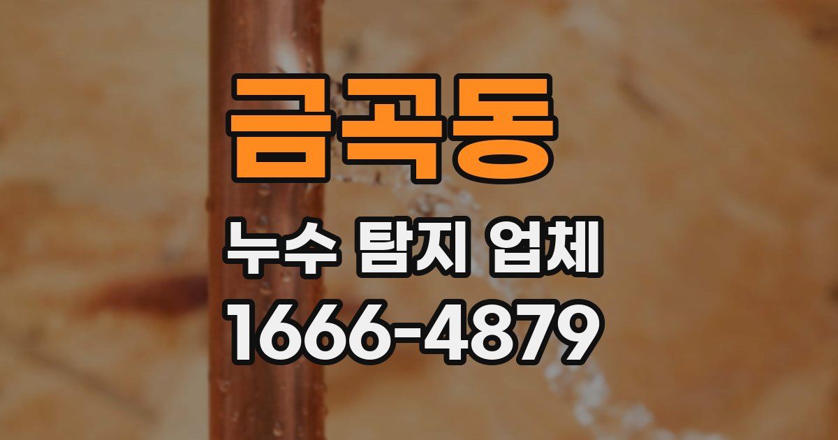 금곡동 누수 탐지 업체
