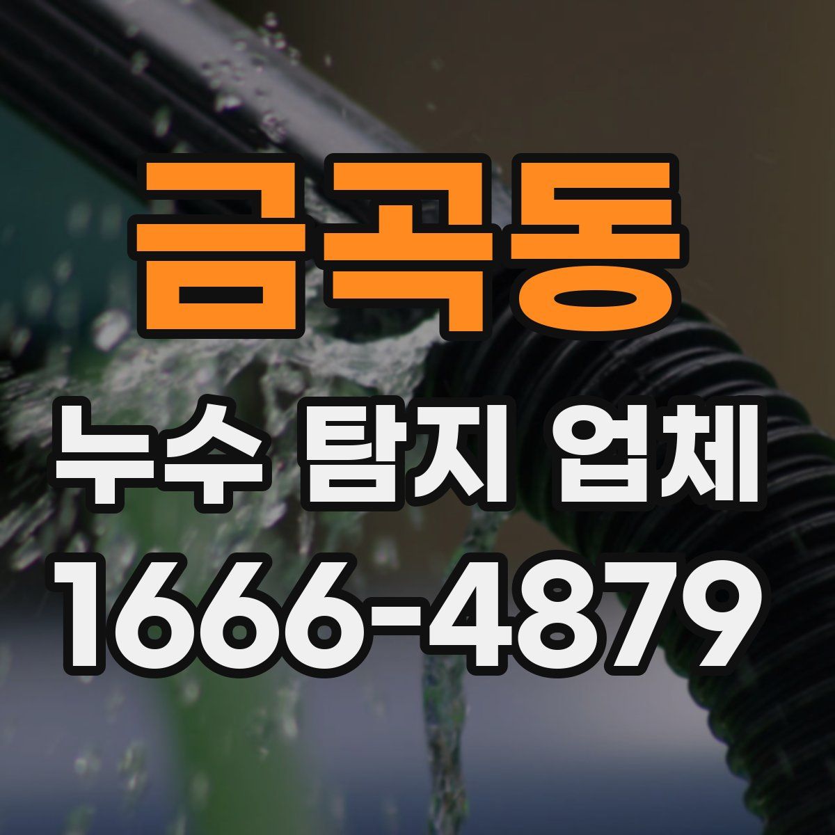금곡동 누수 탐지 업체