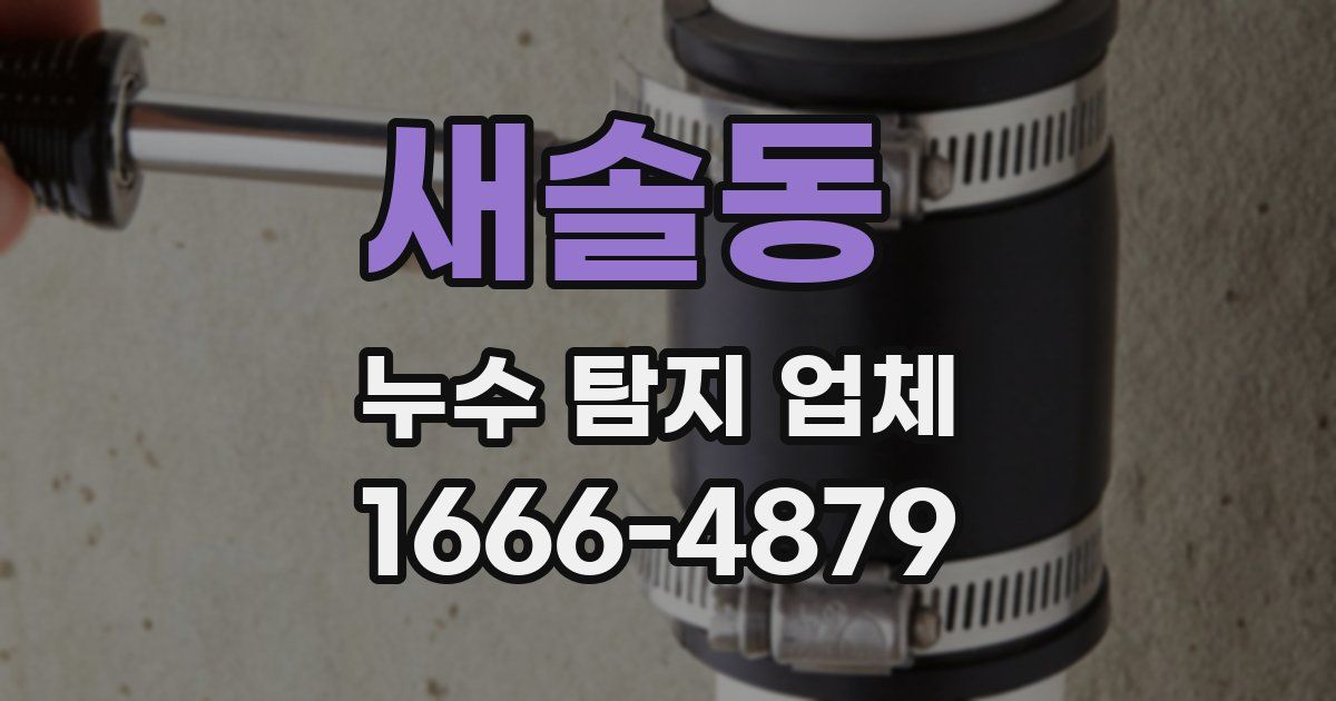 새솔동 누수 탐지 업체