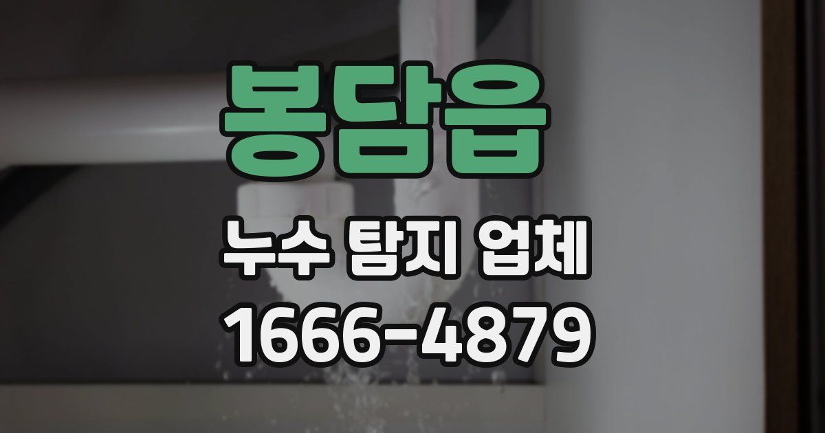 봉담읍 누수 탐지 업체