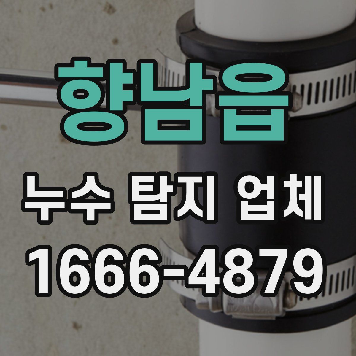 향남읍 누수 탐지 업체