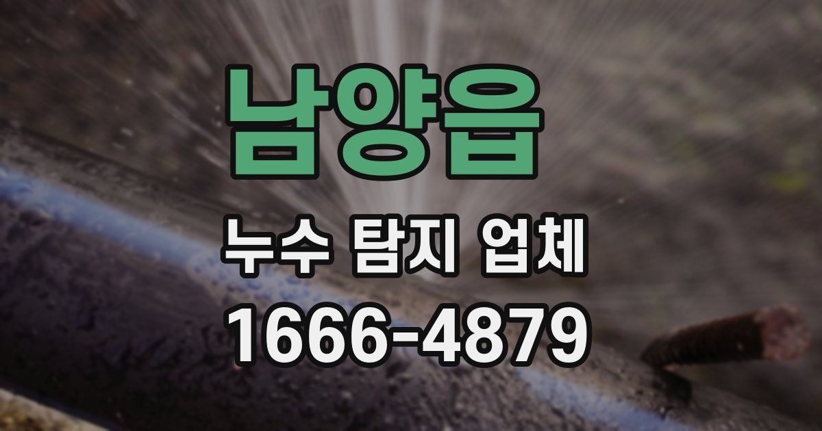 남양읍 누수 탐지 업체