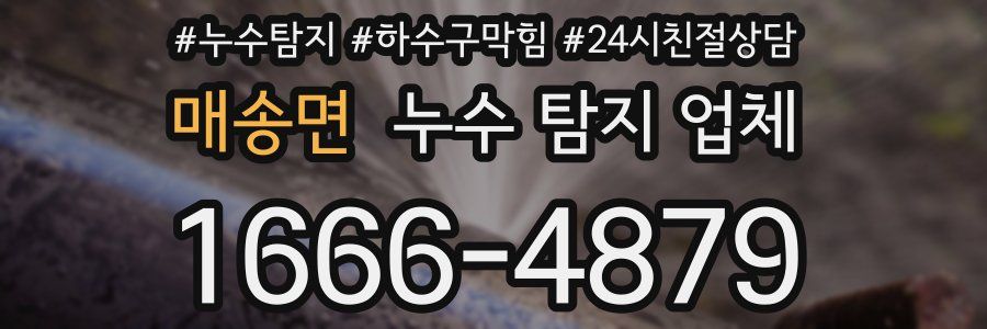 매송면 누수 탐지 업체