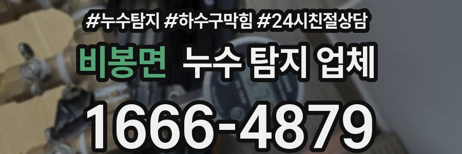 비봉면 누수 탐지 업체