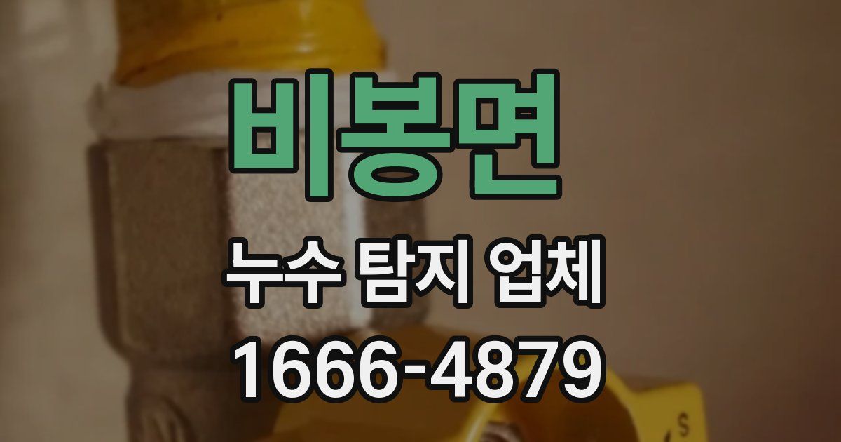 비봉면 누수 탐지 업체