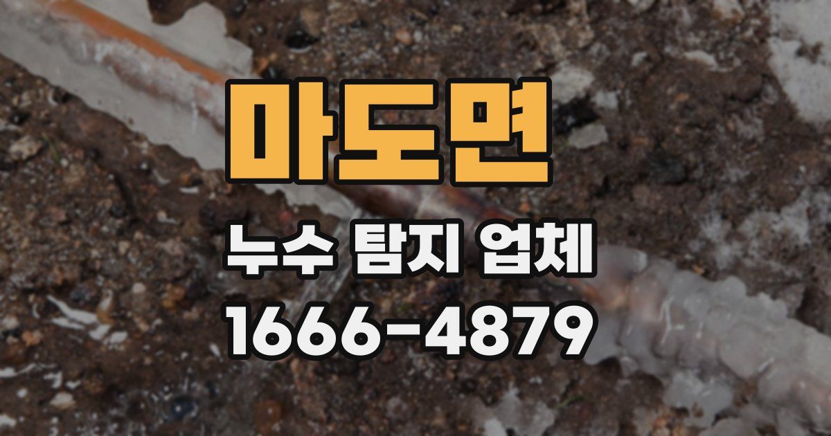 마도면 누수 탐지 업체