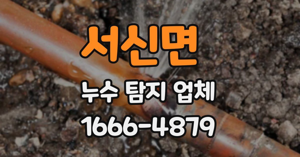 서신면 누수 탐지 업체