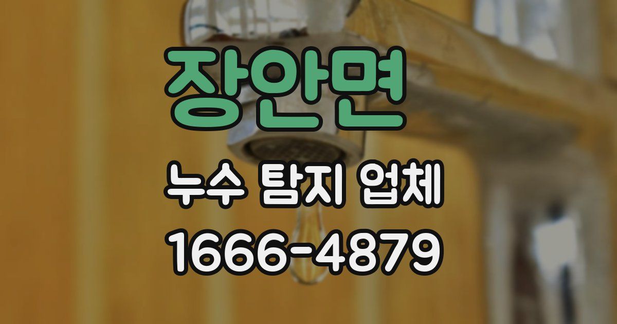 장안면 누수 탐지 업체