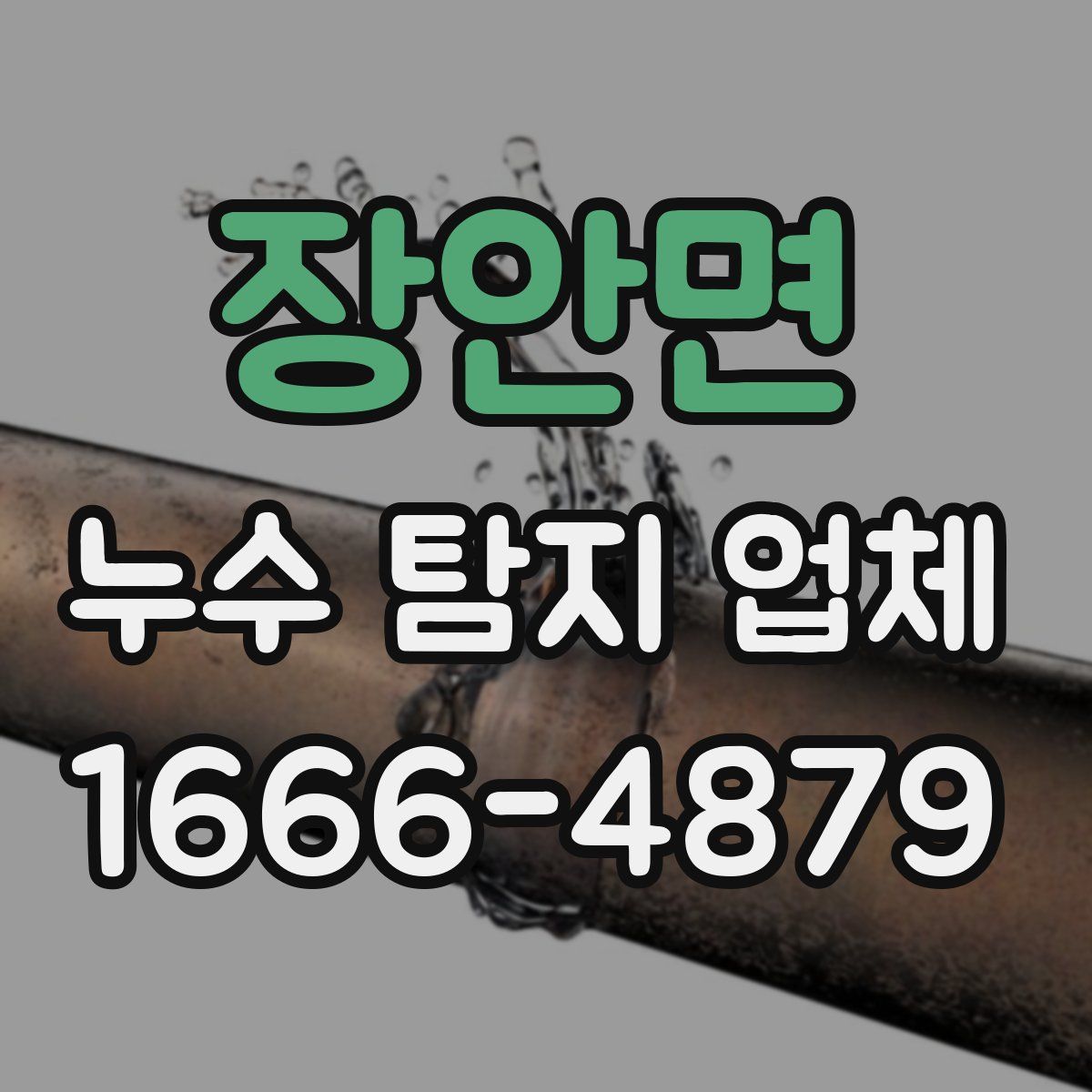 장안면 누수 탐지 업체