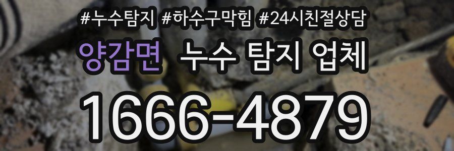 양감면 누수 탐지 업체