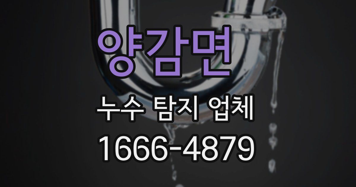 양감면 누수 탐지 업체