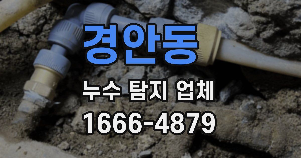 경안동 누수 탐지 업체