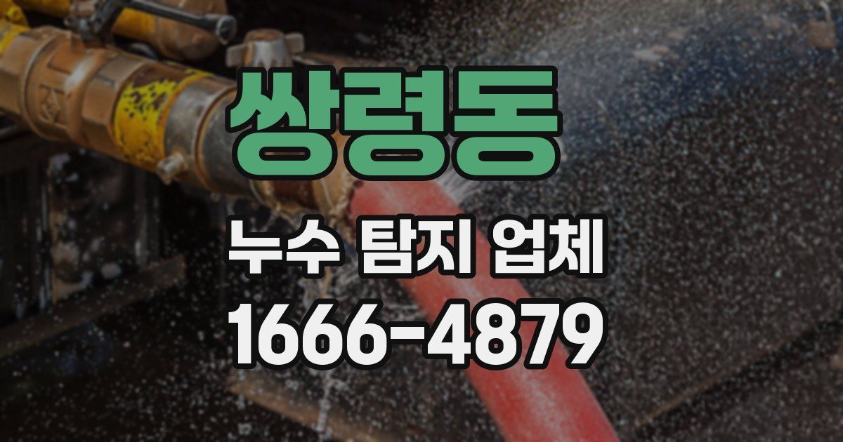 쌍령동 누수 탐지 업체