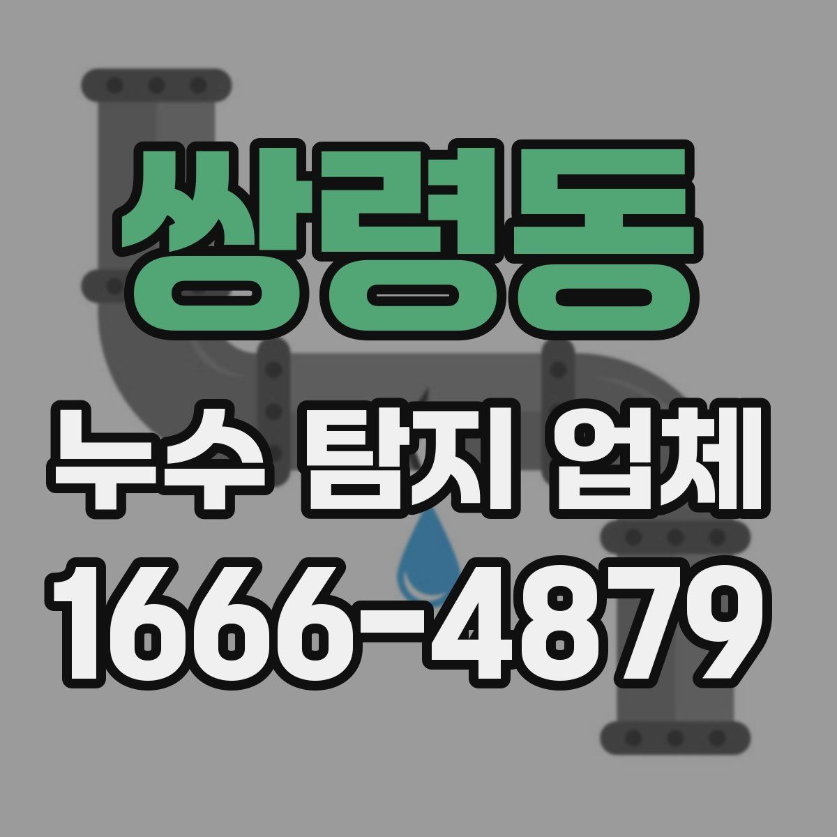 쌍령동 누수 탐지 업체