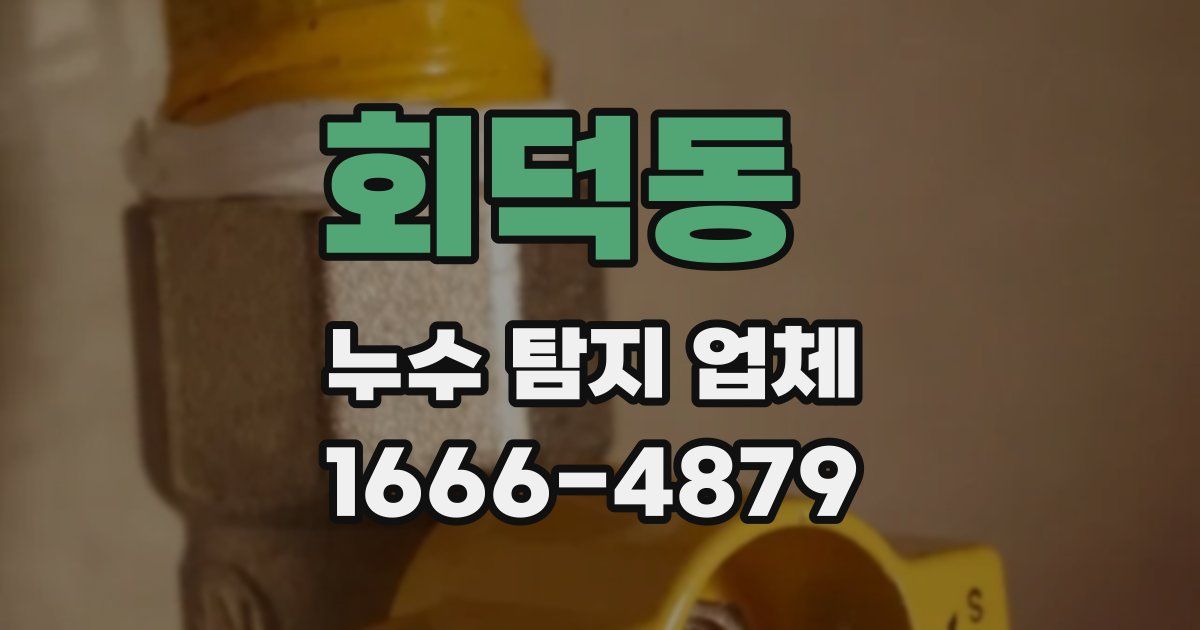 회덕동 누수 탐지 업체