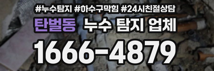 탄벌동 누수 탐지 업체