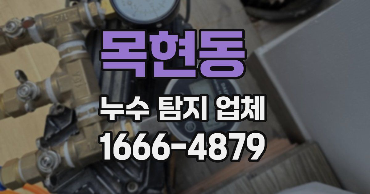 목현동 누수 탐지 업체
