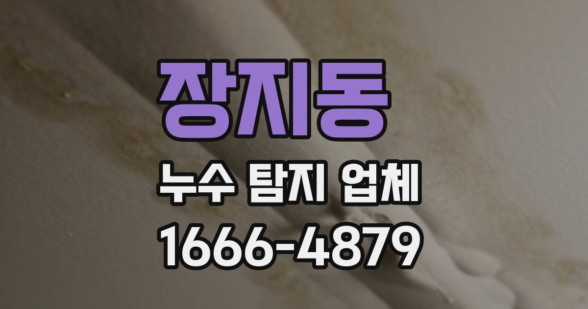 장지동 누수 탐지 업체