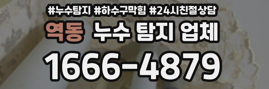 역동 누수 탐지 업체