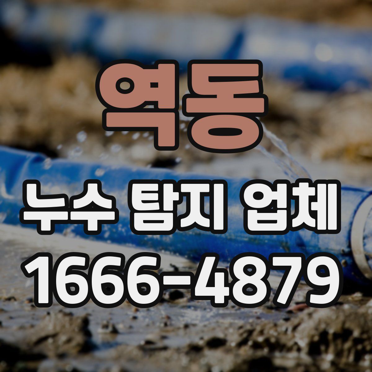 역동 누수 탐지 업체