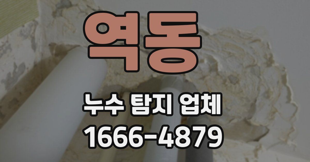 역동 누수 탐지 업체