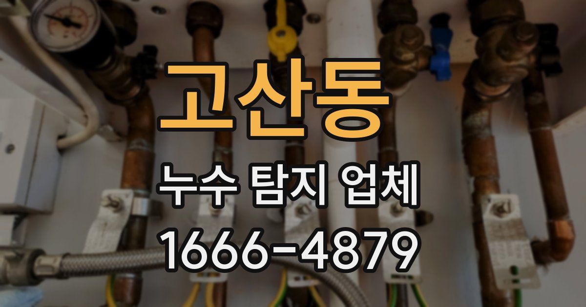 고산동 누수 탐지 업체