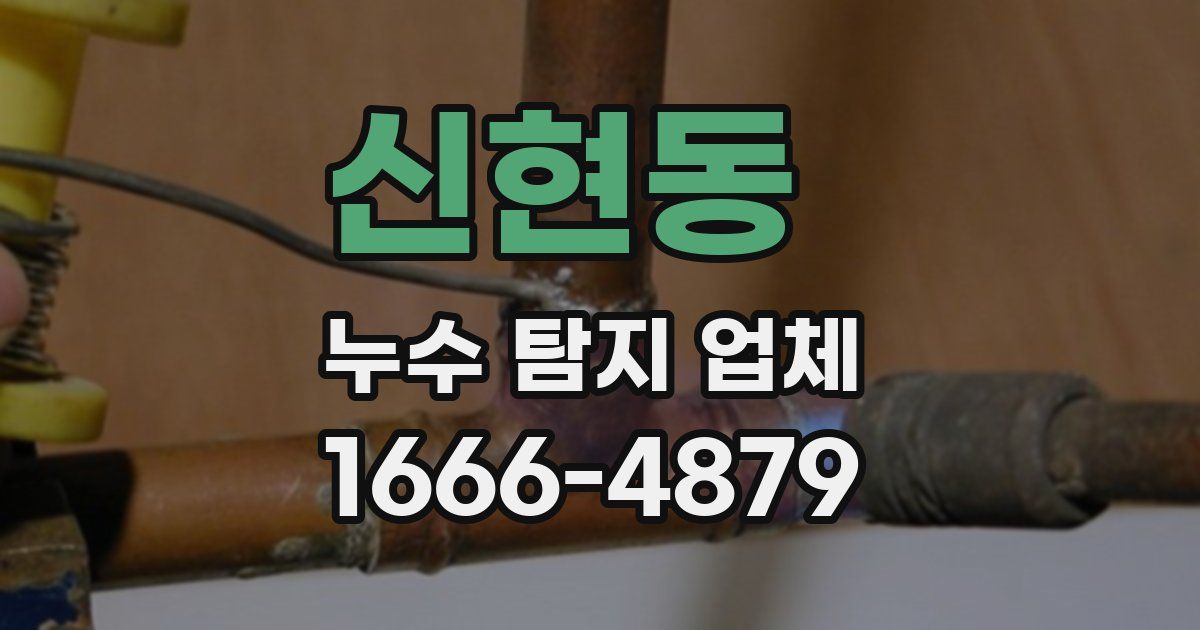 신현동 누수 탐지 업체