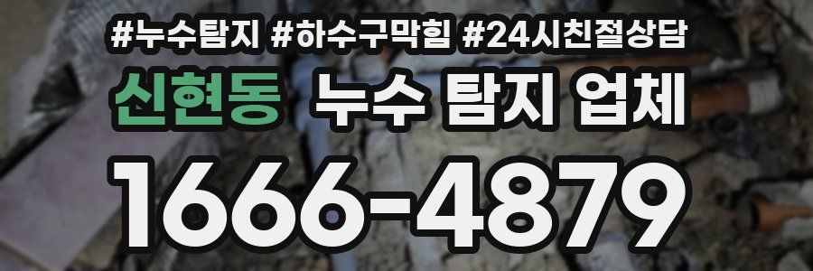 신현동 누수 탐지 업체