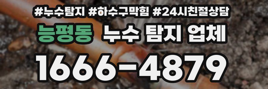 능평동 누수 탐지 업체