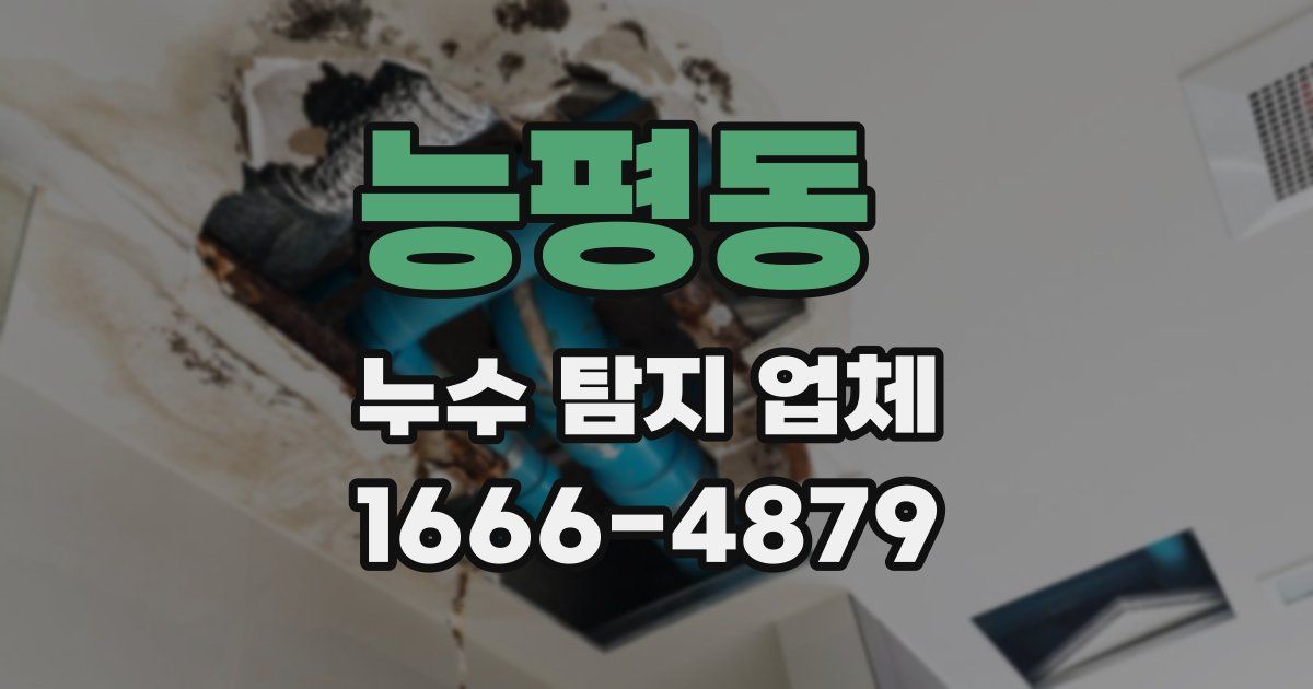 능평동 누수 탐지 업체