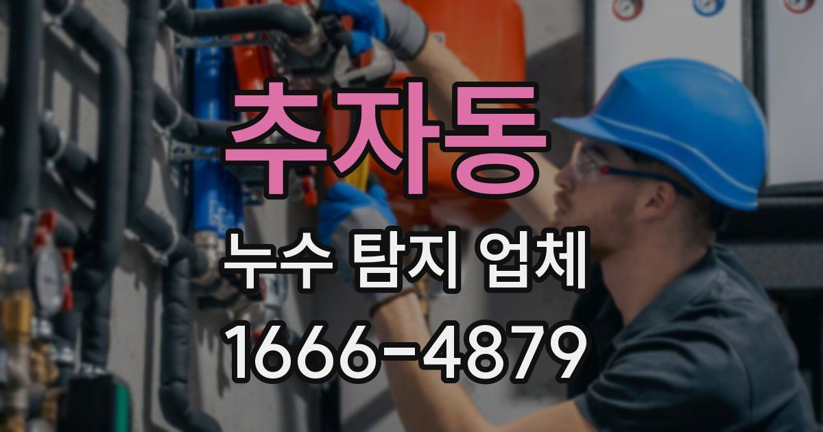 추자동 누수 탐지 업체