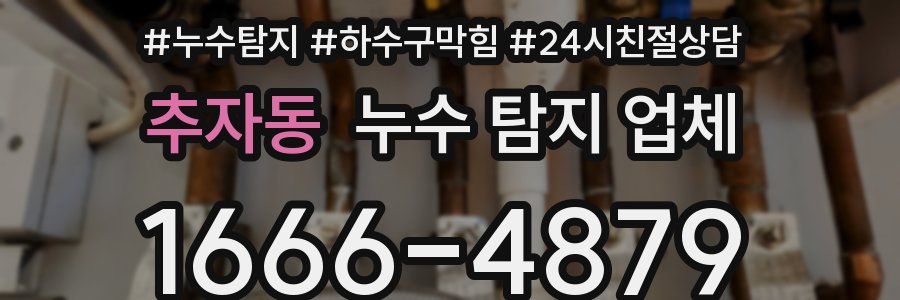 추자동 누수 탐지 업체