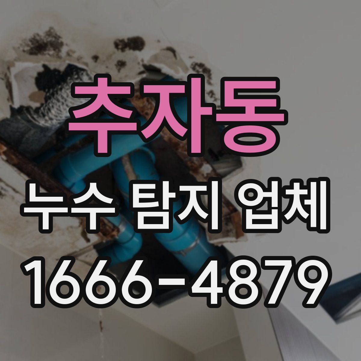 추자동 누수 탐지 업체