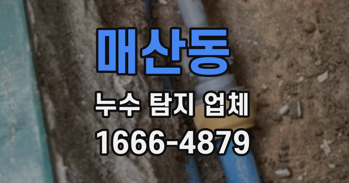 매산동 누수 탐지 업체