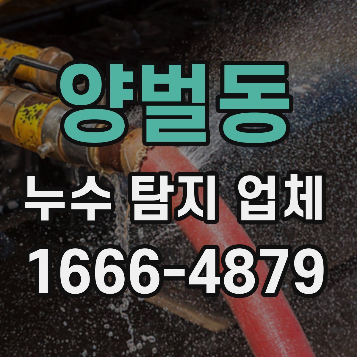 양벌동 누수 탐지 업체