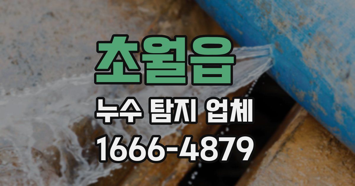 초월읍 누수 탐지 업체