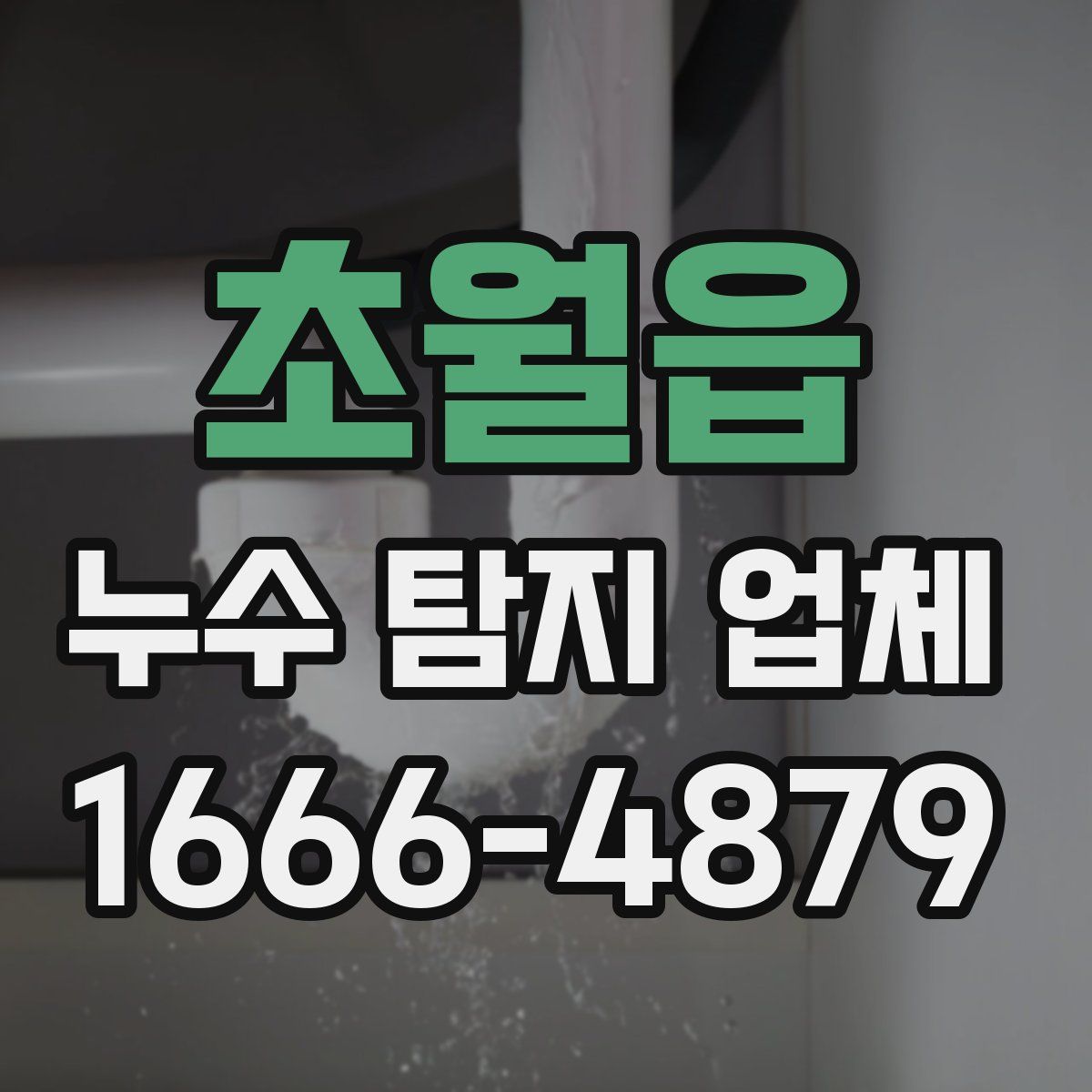 초월읍 누수 탐지 업체