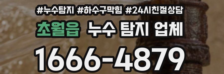 초월읍 누수 탐지 업체