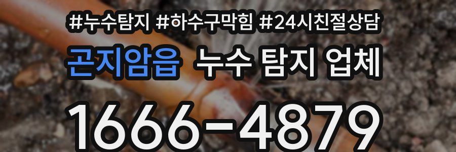 곤지암읍 누수 탐지 업체