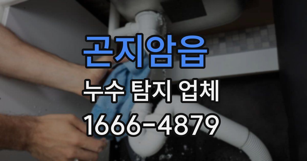 곤지암읍 누수 탐지 업체